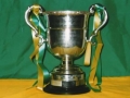 The Desmond Cup