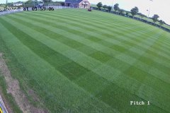 The pitch at the Paddocks in all its glory.