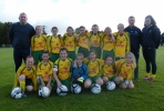 Ballingarry AFC U12 Girls squad 2016/17