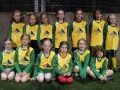 Ballingarry AFC Under 8 Girls Squad 2017-18