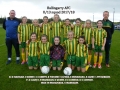 Girls U13 team 2017/18