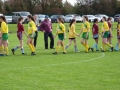 Players shake at final whistle