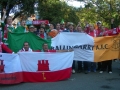 The flag at the Aviva Stadium vs Gibraltar 11-10-14