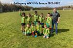 Ballingarry U10s Boys 2021/22