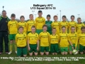 Ballingarry AFC Under 13 squad 2014/15