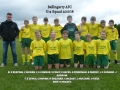 Ballingarry AFC Under 14 Squad 2017/18