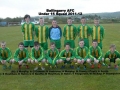 Ballingarry AFC Under 15 squad 2011/12