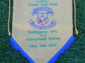 Cup final pennant